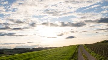 Todesanzeige Klein Oskar