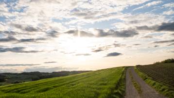 Todesanzeige Moral geb. Semmler Erika