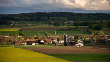 Saisonkalender Dezember