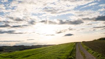Todesanzeige Ellenberger geb. Lüthi Anita Martha