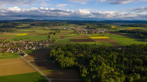 Einladung zur Gemeindeversammlung  der Politischen Gemeinde Rickenbach