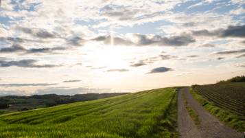 Todesanzeige Lehmann geb. Eichenberger Erika