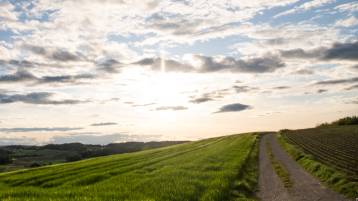 Todesanzeige Truninger Rudolf