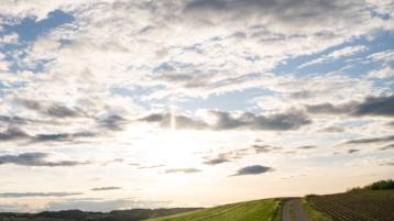 Todesanzeige Akeret Therese