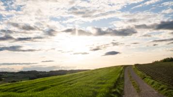 Todesanzeige Bachmann geb. Klaus Elisabeth