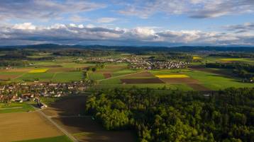 Grabräumung 2025 - Friedhof Rickenbach