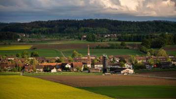 Saisonkalender November