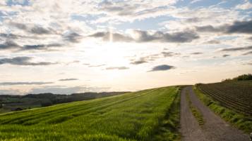 Todesanzeige Baumer Gertrud