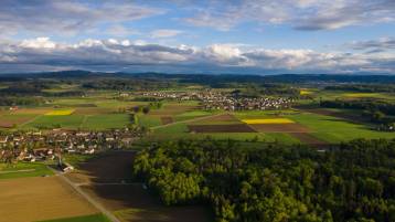 Steuererklärung mit der bewährten Online-Lösung ZHprivateTax einreichen