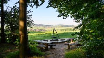Achtung: Erhöhte Bruchgefahr im Wald wegen Trockenheit