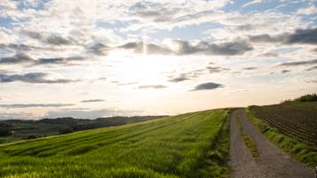 Todesanzeige Beutler Helga