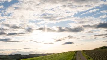 Todesanzeige Rosa Trachsel