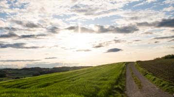 Todesanzeige Schult Verena