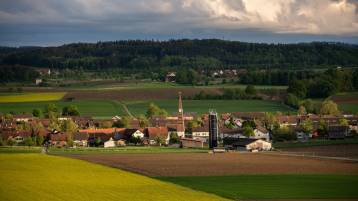 Saisonkalender Dezember