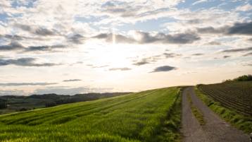 Todesanzeige Lutz Walter