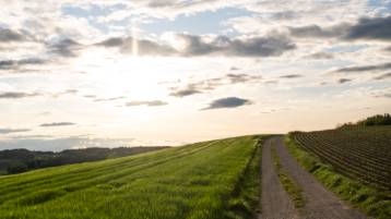 Todesanzeige Beltrame Tranquillo Domenico