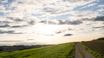Todesanzeige Widmer geb. Scherrer Emma