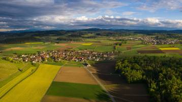 Vogelgrippe in Seuzach: Ausbreitung verhindern