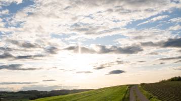 Todesanzeige Meili Noah Luan