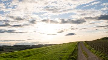 Todesanzeige Stucki Richard