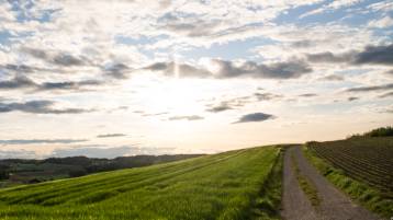 Todesanzeige Walder Margrit