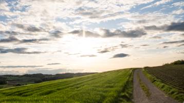 Todesanzeige Muralt Roland