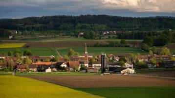 Suche von Freiwilligen zur Aufnahme von Flüchtlingen aus der Ukraine