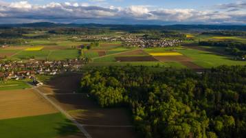 Jetzt invasive Neophyten bekämpfen